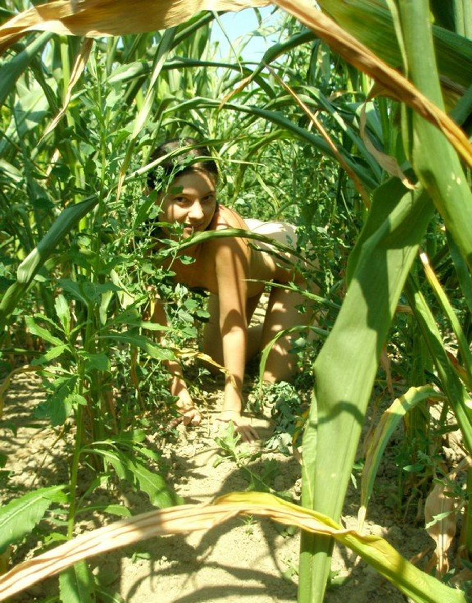 Голая жена в кукурузе фото