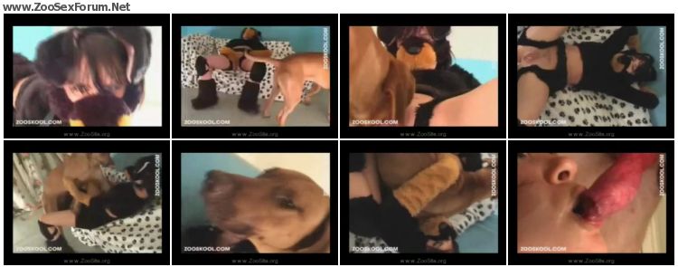 Search Zoo Porn Star Dog sex loving couple - Stray-X - Missionary Impossibl...