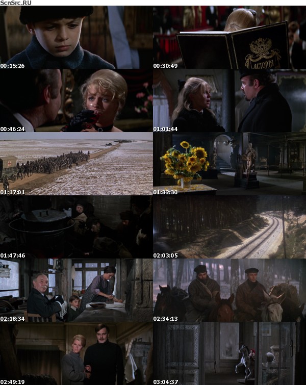 Doctor Zhivago 1965 720p BluRay x264-WiKi Doctor Zhivago 1965 720p BluRay x264-WiKi