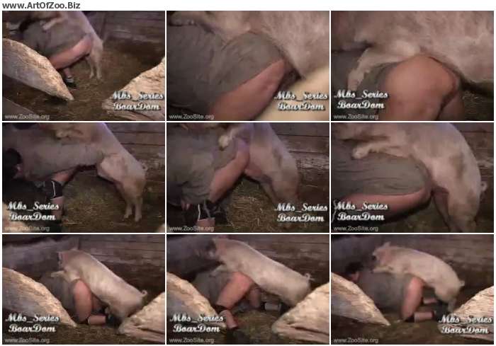 91b6f01011090984 - Dirty Pig Sex - Zoo Tube Video