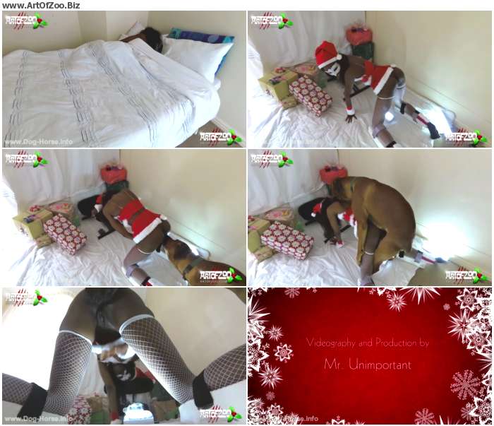 e15b771009847774 - ArtOfZoo - Santas Little Helper / by ZooSkool.Name