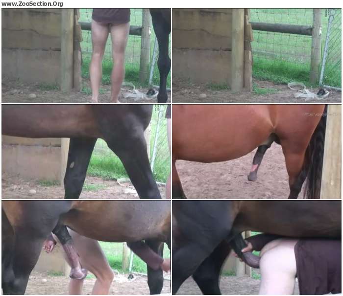 780c331012374344 - Stallion Loving / AnimalSex Video