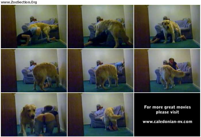 0078171012393344 - Shylarks Loves Her Dog / AnimalSex Video