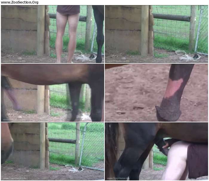 b5690f1012381784 - Porn Of Horse Room / AnimalSex Video