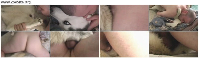 Fucking animal man Animal Sex