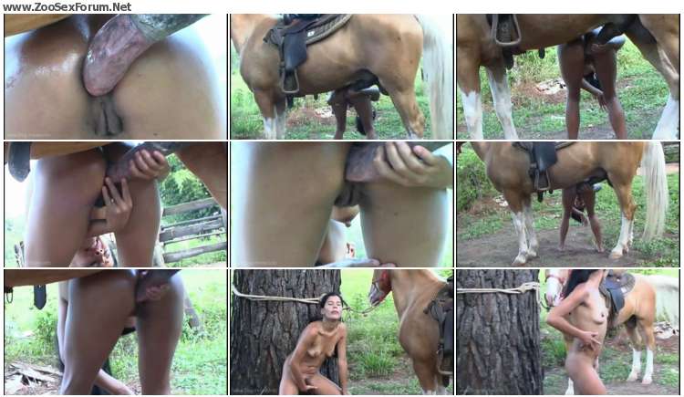 Porn hardcore horse Hardcore horse