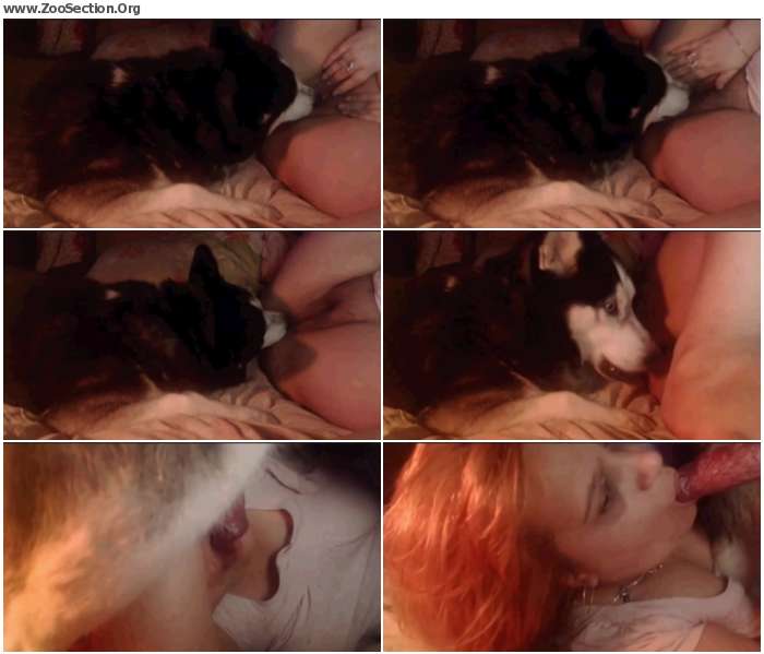 20f9141012952334 - Webcam3 / Stickam ZooSex