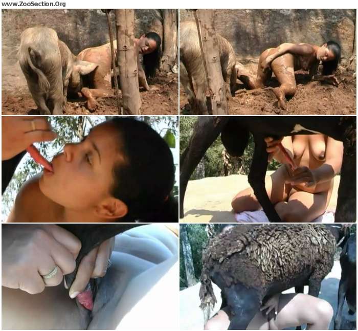 07fe331012382964 - Stallion Porn Bestiality / AnimalSex Video