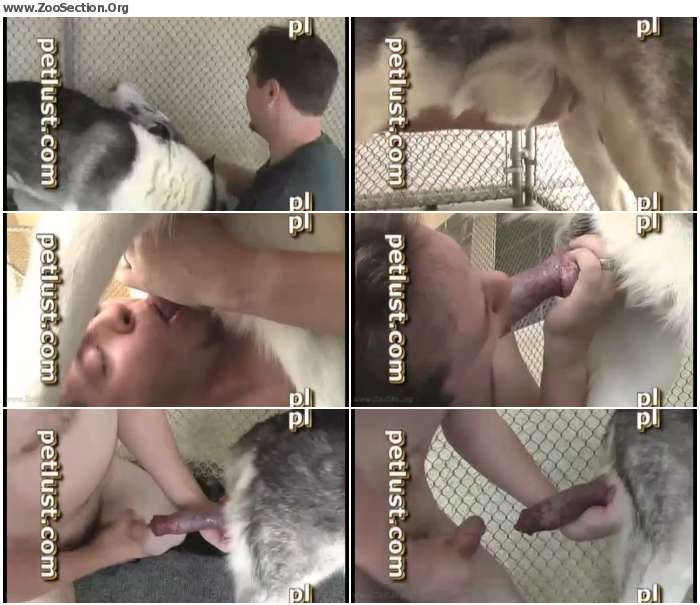 e5faaf1012377904 - Man Fuck Animals - Petlust Male Bestiality - Kennel Knot / AnimalSex Video