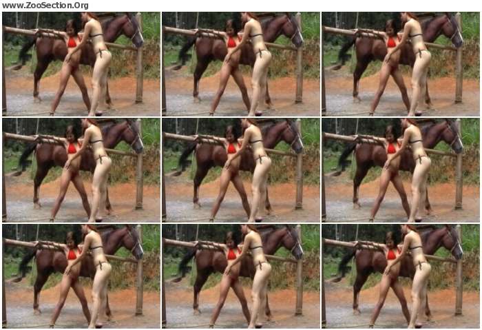 cc0fd11012376394 - Stallion Horse Dick Love Milf / AnimalSex Video