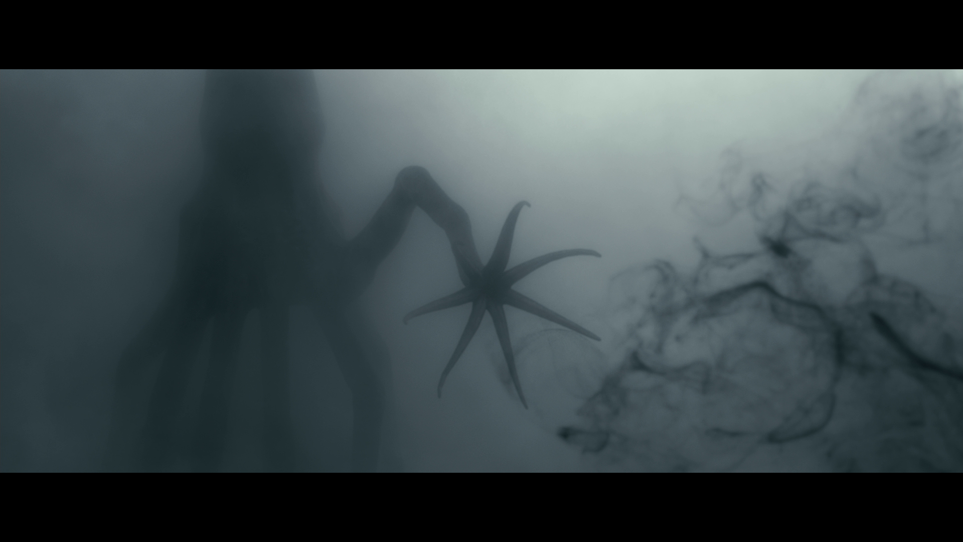 b86f741187431814.png