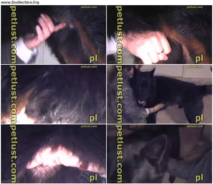 d8f8c41012394194 - Petlust SiteRip -  - Jerking Dogs / AnimalSex Video