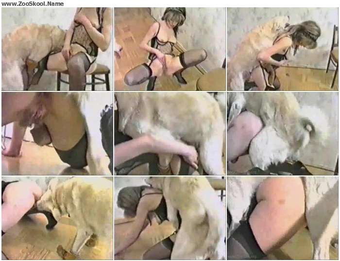14f07b1066032034 - Dog Sex 114 - Zoo Tube Video