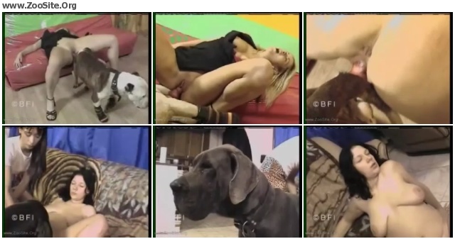 b4d352880301074 - ANIMAL PASSION - DOG QUEENS - Animal Sex Cinema