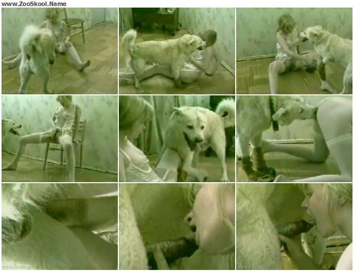 8281f51066034684 - Dog Humping A Girl When She S On The Phone - Zoo Tube Video