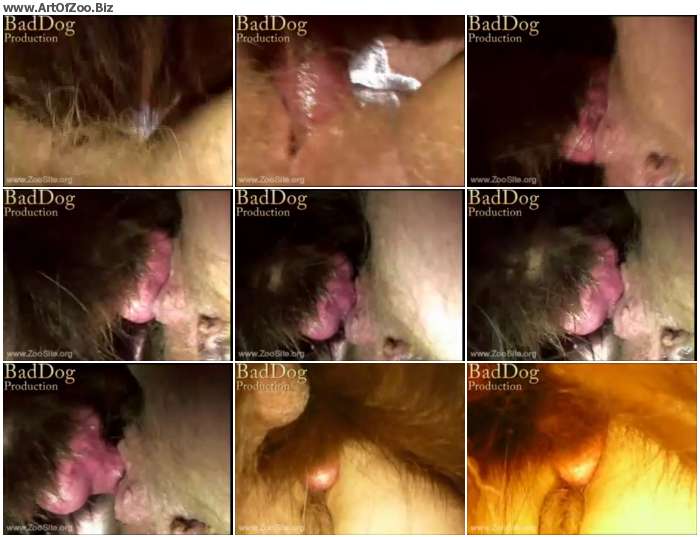 0c6fea1011089334 - One Horney Dog  - Zoo Tube Video