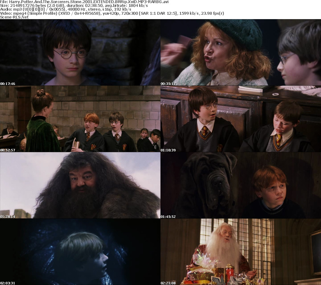Harry Potter And The Sorcerers Stone 2001 BRRip Hindi
