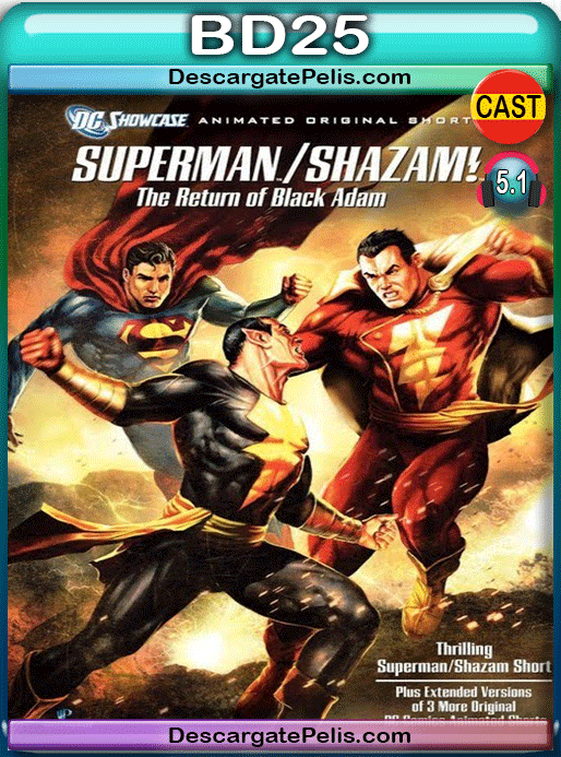 download dc showcase superman shazam the return of black adam 2010
