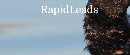 Mike Heath - Rapid Leads(2017) Mike Heath - Rapid Leads(2017)