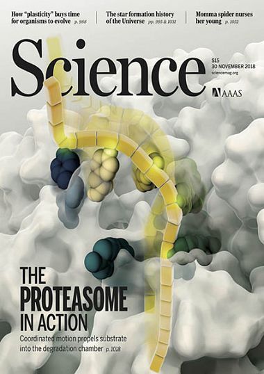 Science – 30 November 2018