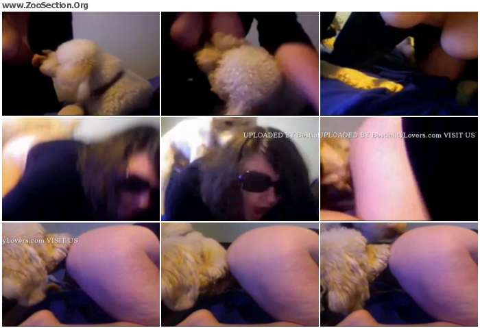 d300221012952894 - Webcam Girl Lick With Two Dogs / Stickam ZooSex