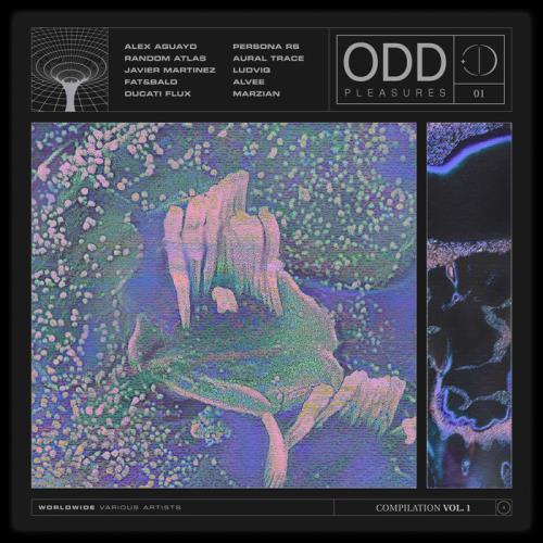 ODD Pleasures Compilation Vol. 1 (2021)