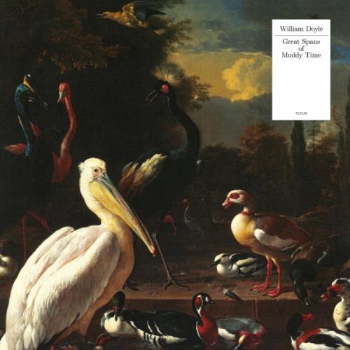 William Doyle — Great Spans of Muddy Time (2021)