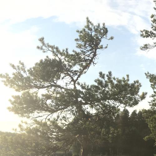 Aleksi Perala — Midnight Sun 4 EP 5 (2021) Aleksi Perala — Midnight Sun 4 EP 5 (2021)