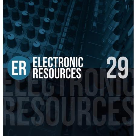 Electronic Resources, Vol. 29 (2021)