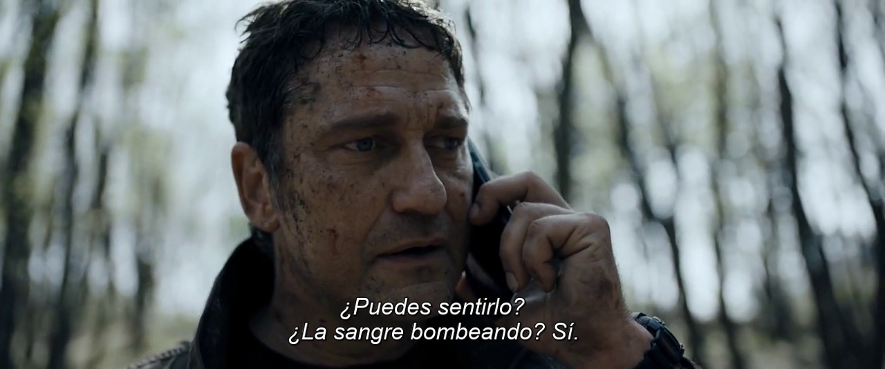 b3afe41325365302.png