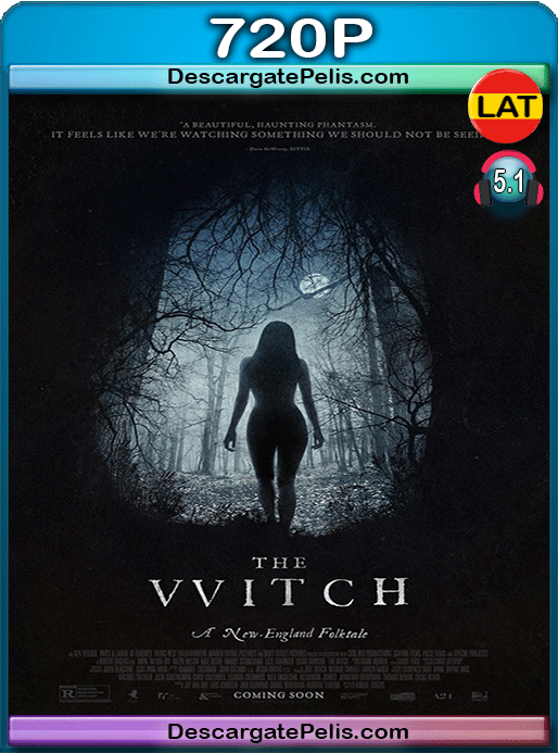 DescargatePelis.com