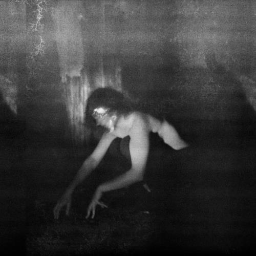 Demande a la Poussiere — Quietude Hostile (2021) Demande a la Poussiere — Quietude Hostile (2021)