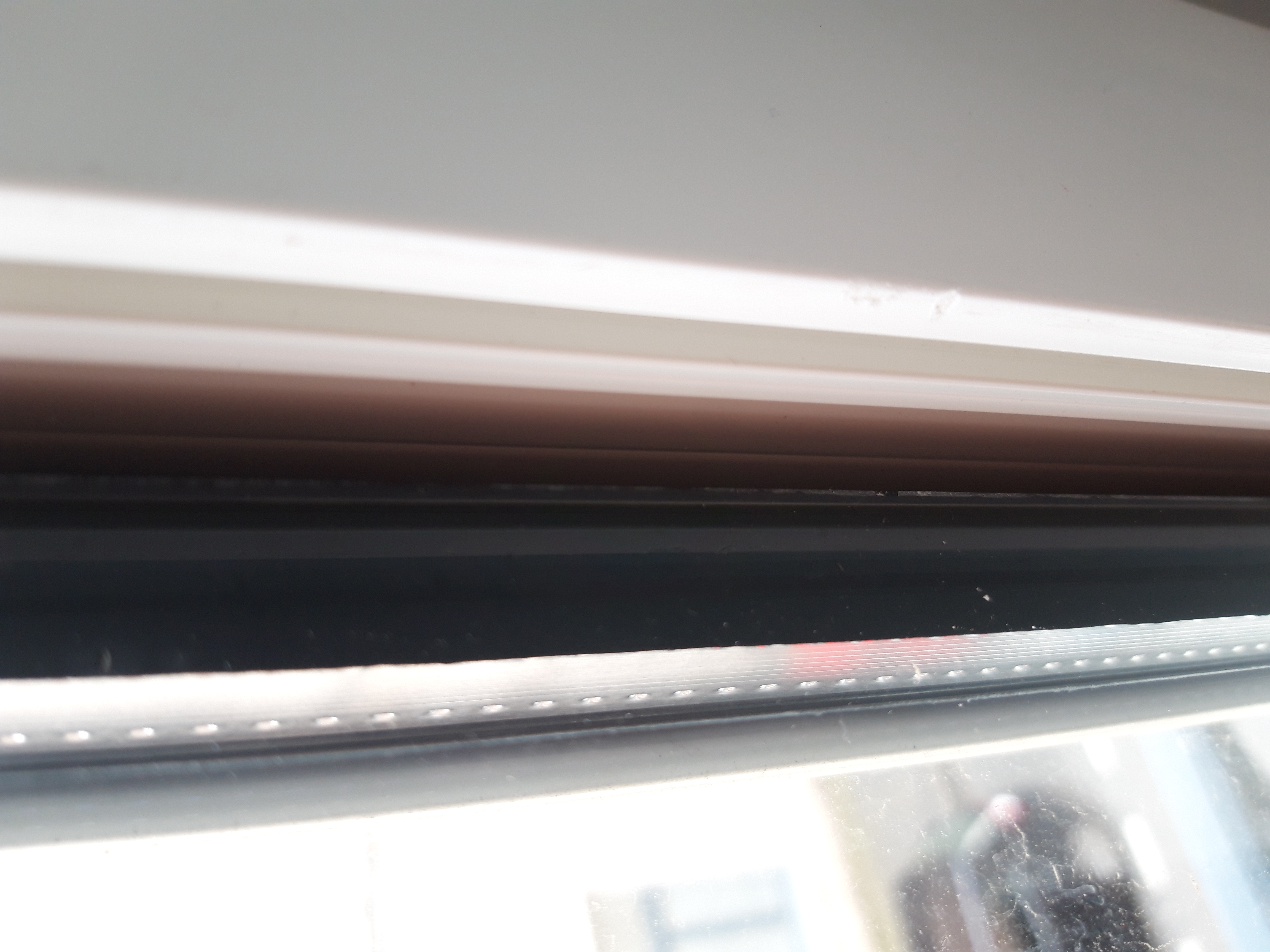 20190522_175446.jpg