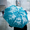winter44.jpg