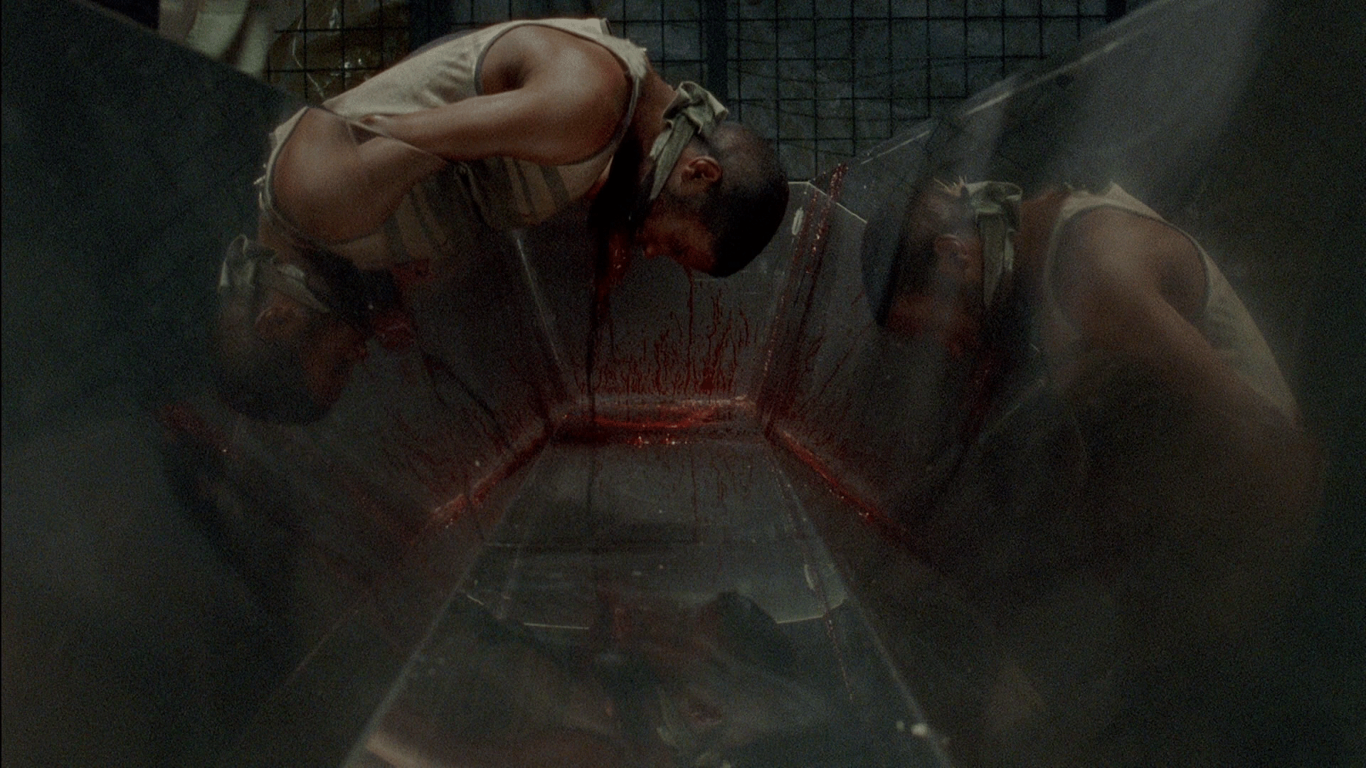 The walking dead. Season 5 BDRemux Subtitulado The walking dead 5 - DescargatePelis.com