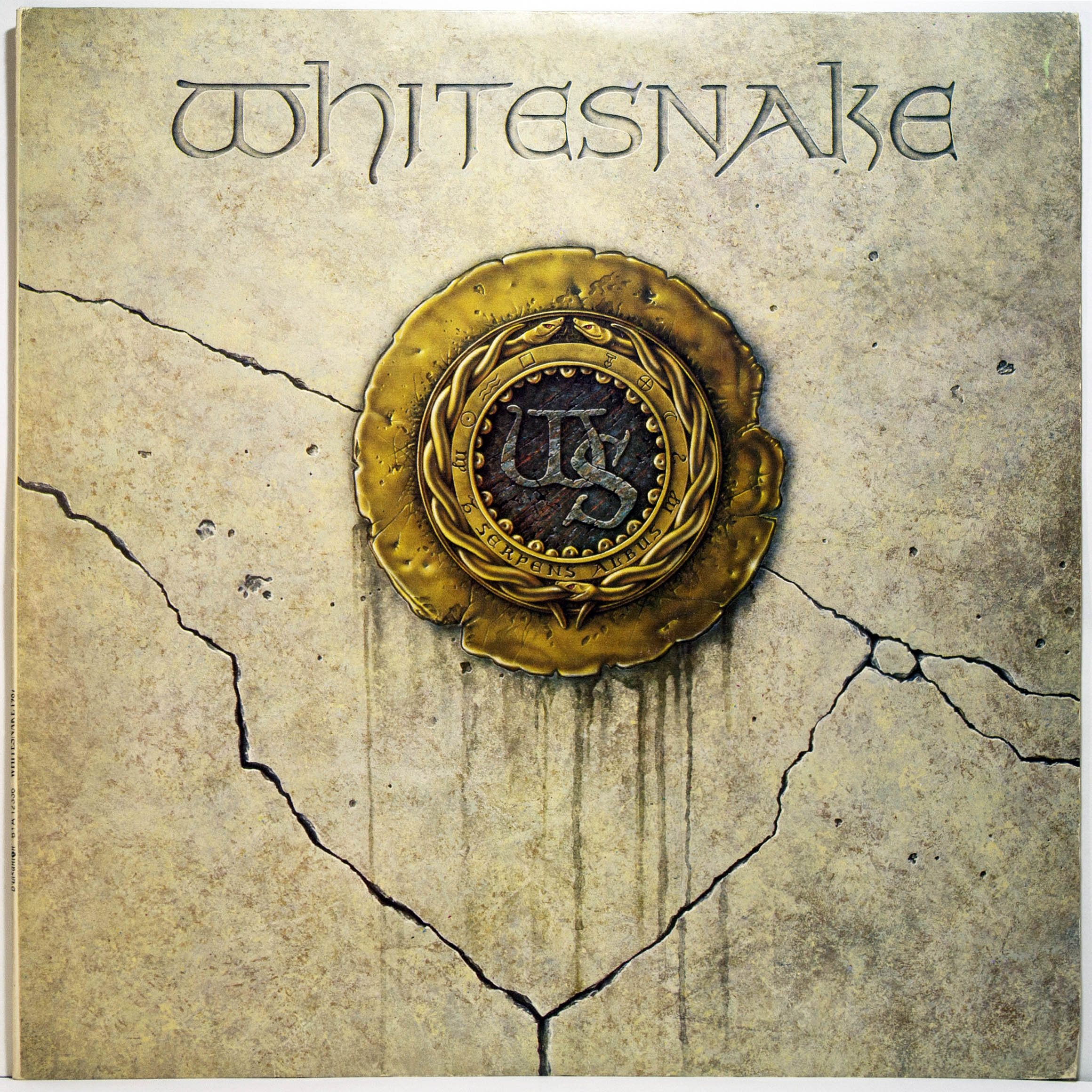 Whitesnake87_front.jpg