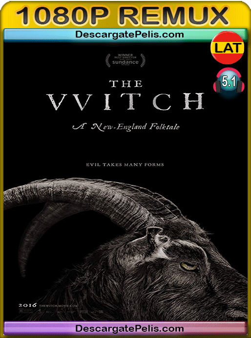 DescargatePelis.com