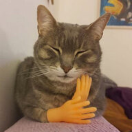 b3d4b41347585342.jpg