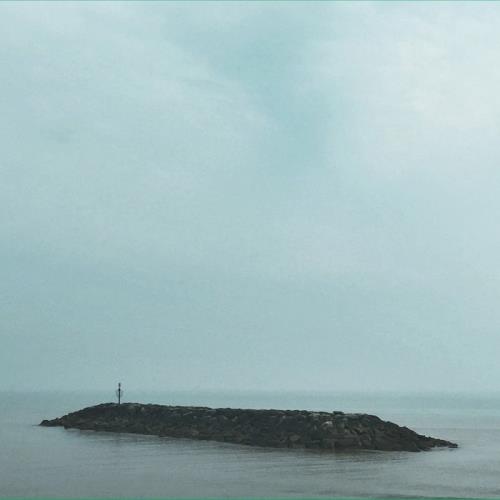 Seafields — Moss Covered Technology (2021)