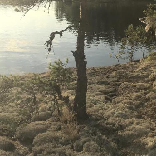 Aleksi Perala — Midnight Sun 4 EP-4 (2021) Aleksi Perala — Midnight Sun 4 EP-4 (2021)